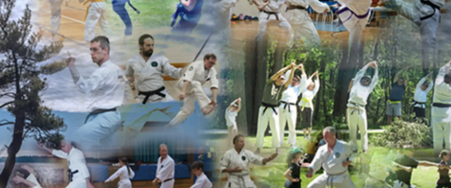 Orillia Academy of Karate