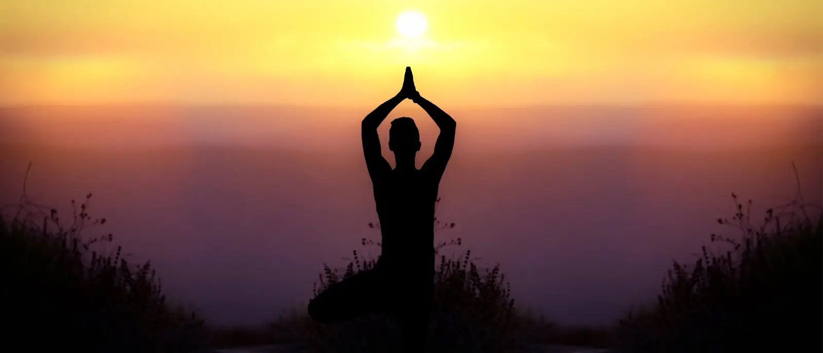 Master Yoga