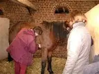 CENTRE DE TOURISME EQUESTRE DU VAL ST PIERRE