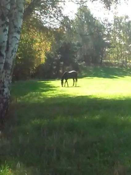 Laguiole Riding