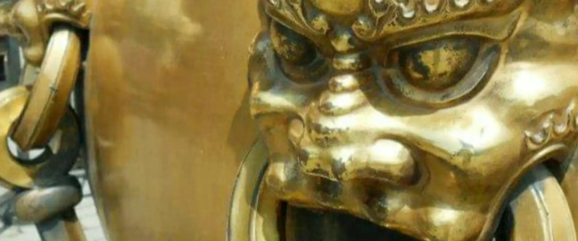 Dragon and Phoenix Wing Chun Kung Fu