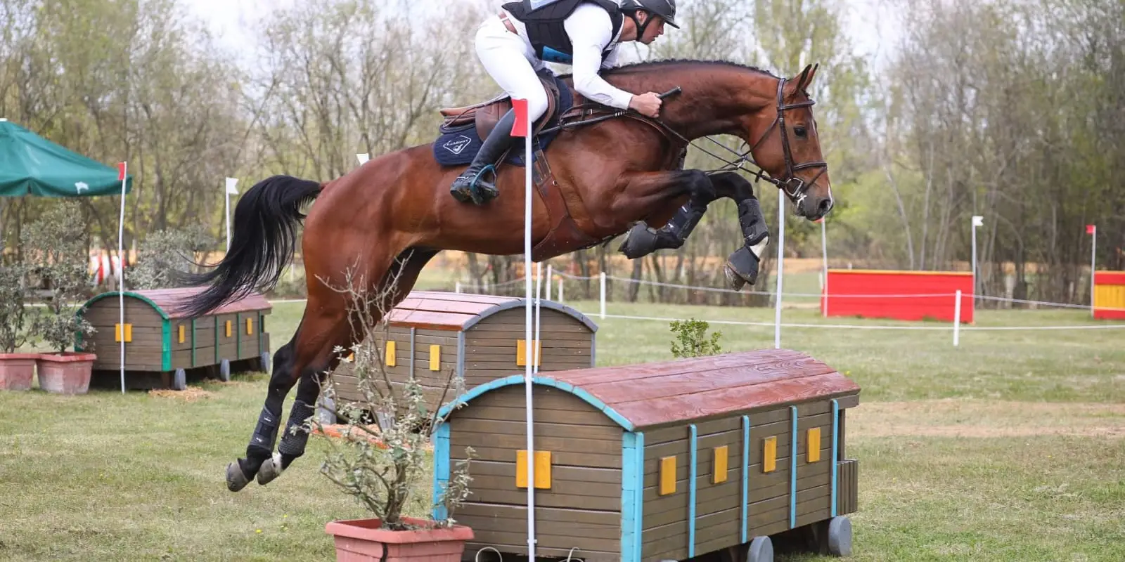 Poney Club Louveaux