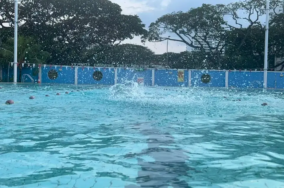 Swim Monkey Swim School