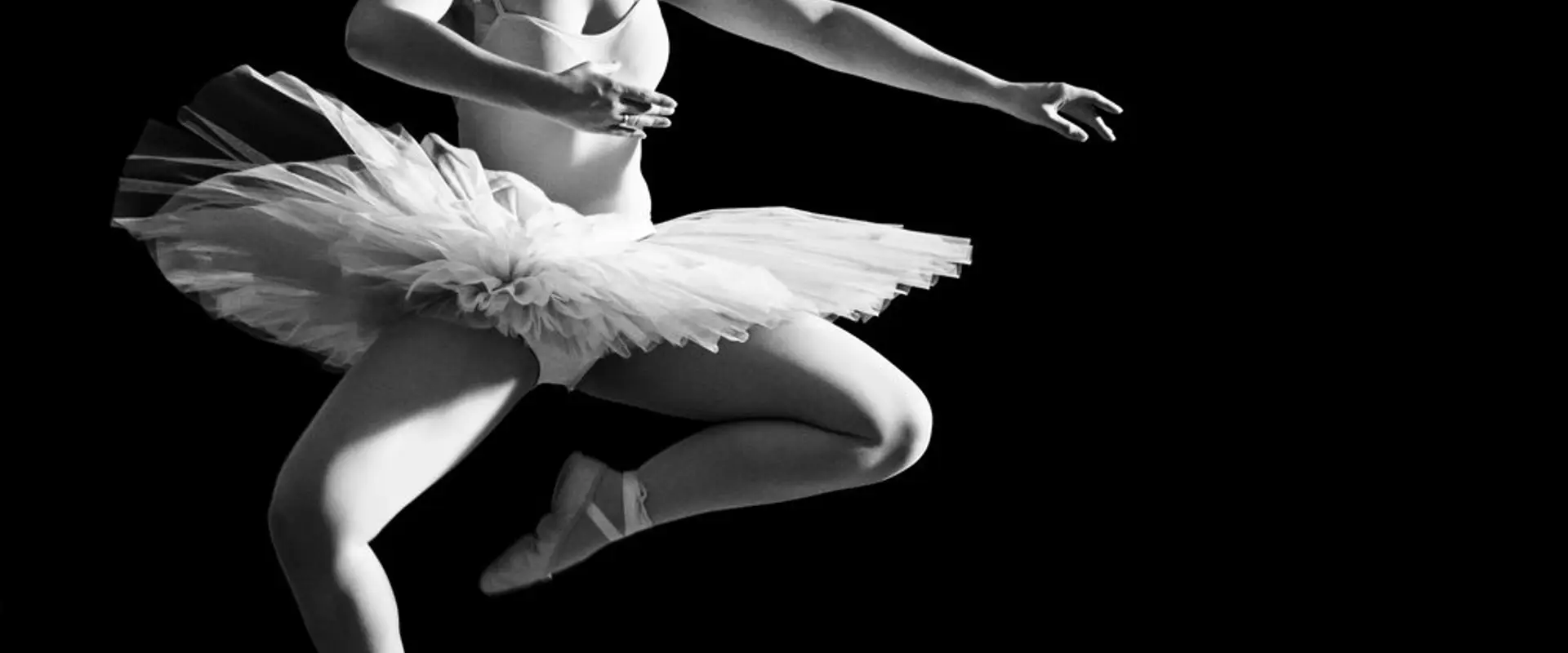 LSSDance