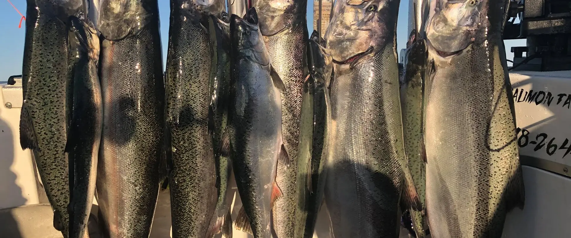STRIKE ZONE CHARTERS