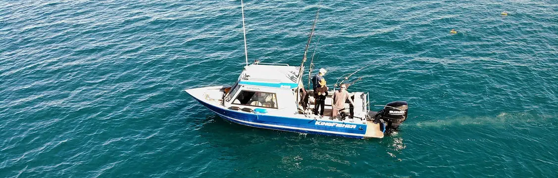 Blue Line Fishing Charters Lake Huron Grand Bend, Port Franks, and Bayfield