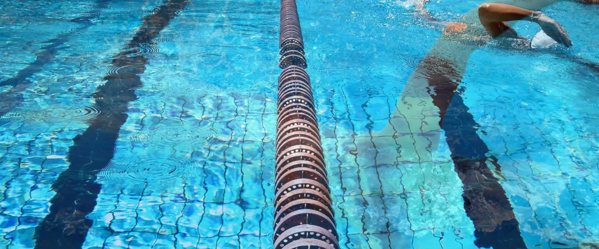 Manly Swimming Club