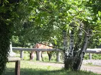 DOMAINE DES ARGENTIERES