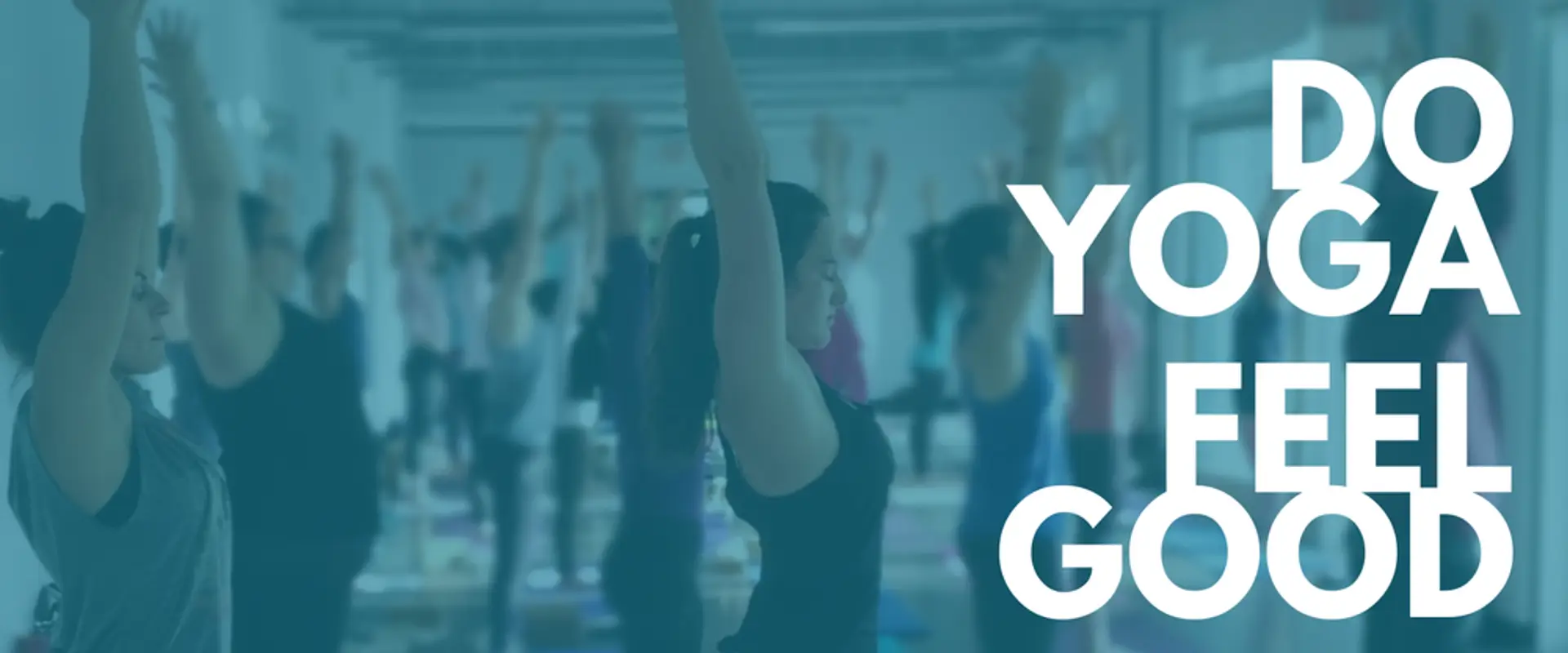 CIY | House of Yoga