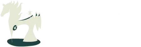 The Rug Lady - Gloucestershire & Cotswolds Horse Rug Cleaning & Repairs