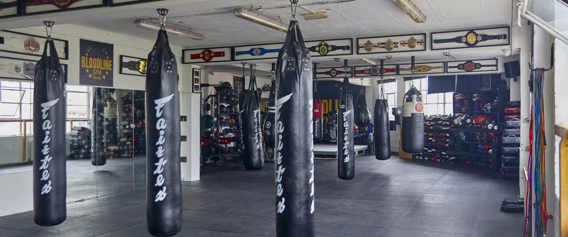 Bloodline Gym