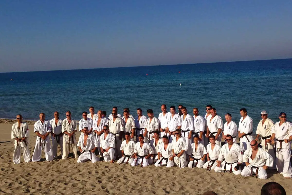 Karate Kyokushin 8 Dan Dojo