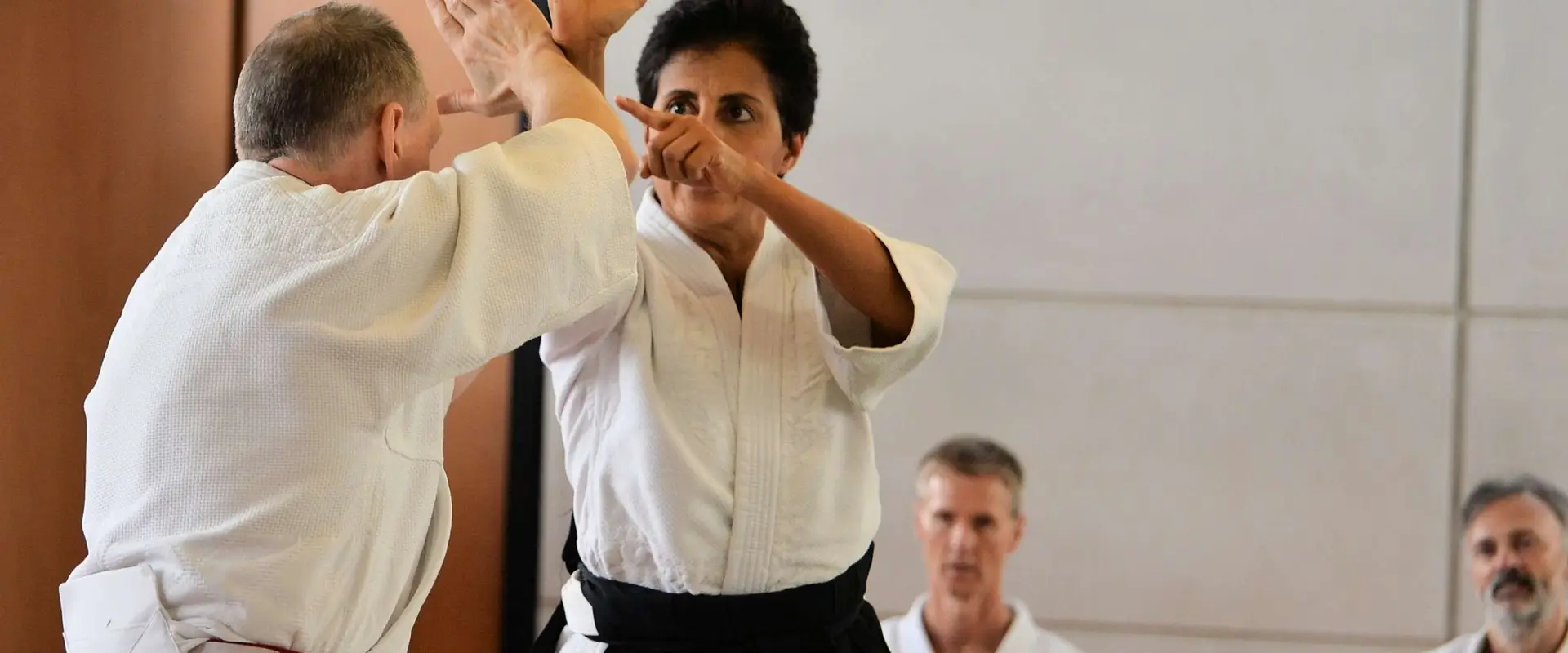 French Association Ki Aikido