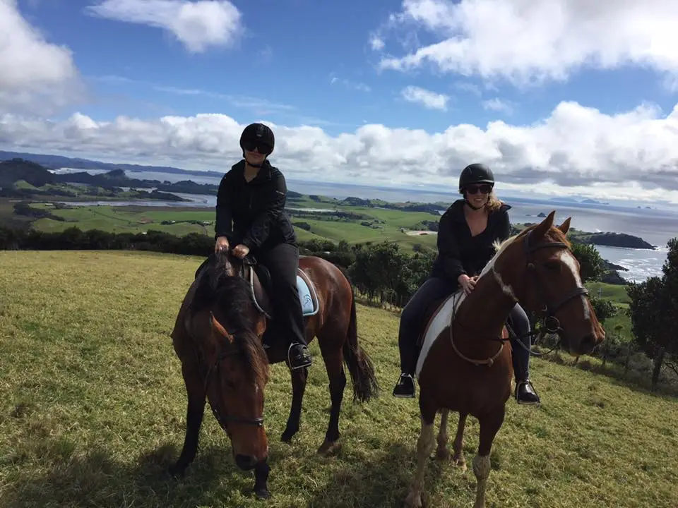 Coastal Riding Whangarei Heads