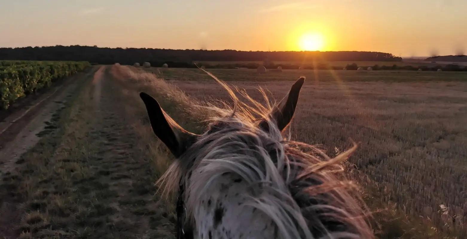 A Cheval Dans L'Yonne