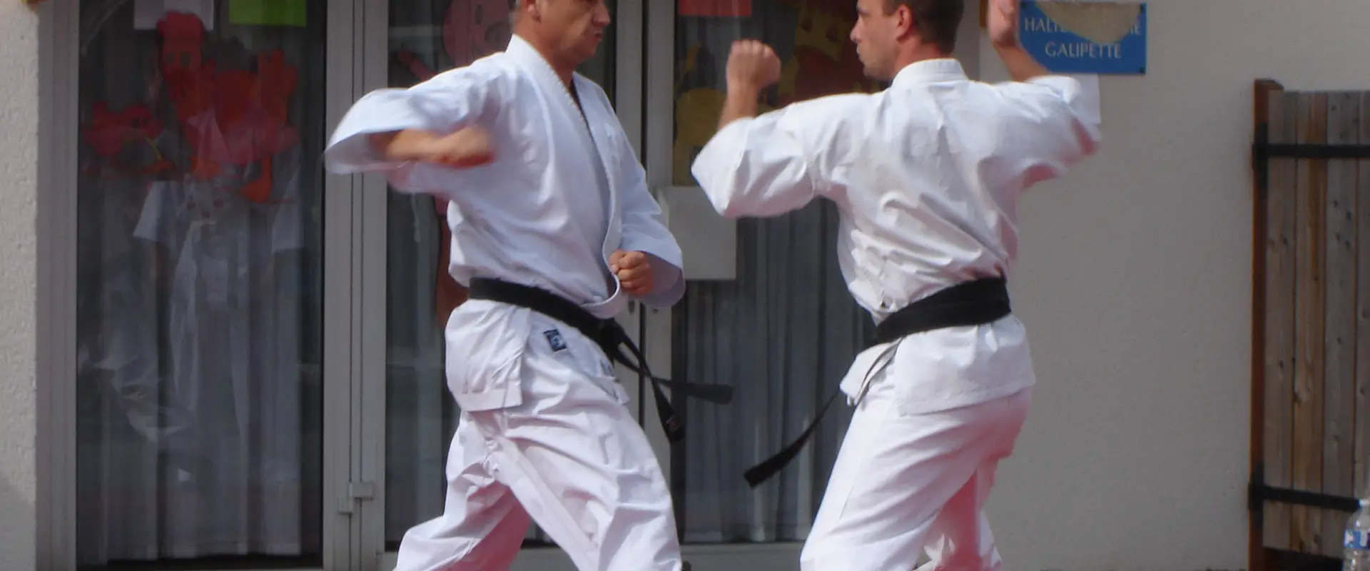 Dojo