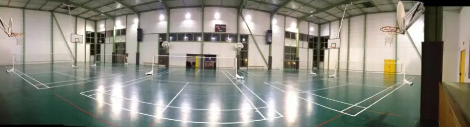 ASV badminton
