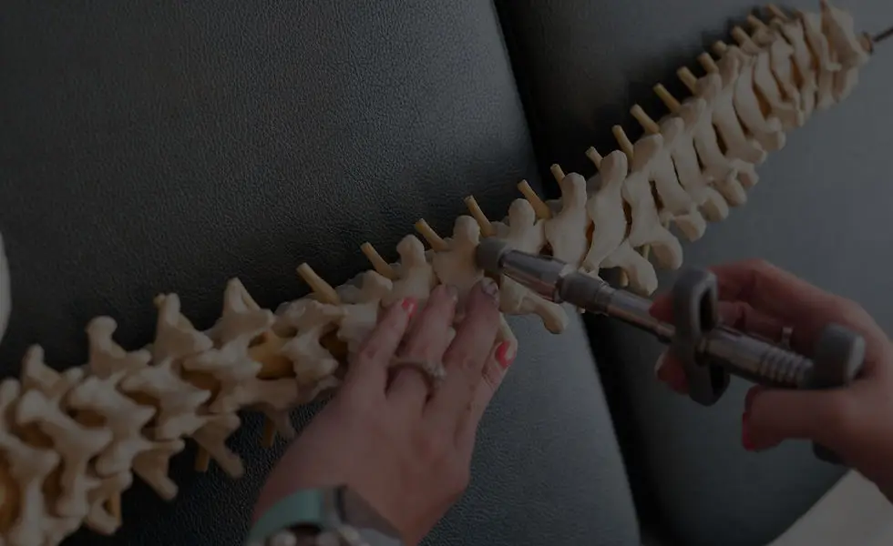Chiropractic For Life
