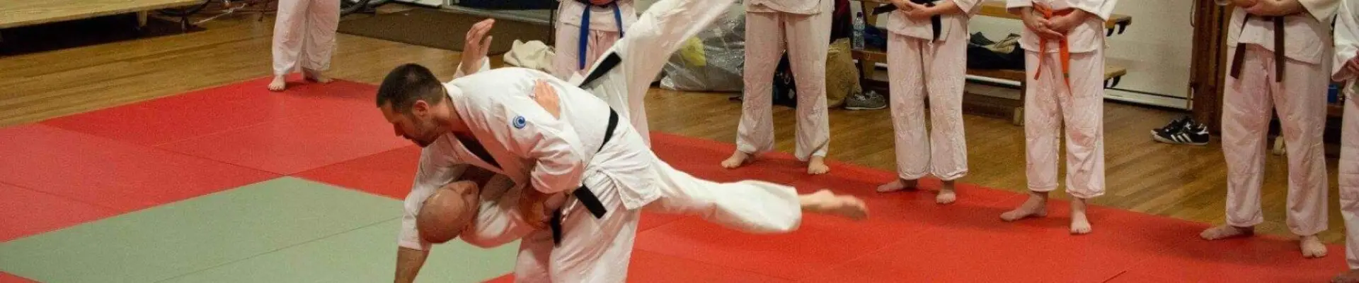 Aiuchi Jiu Jitsu Basingstoke