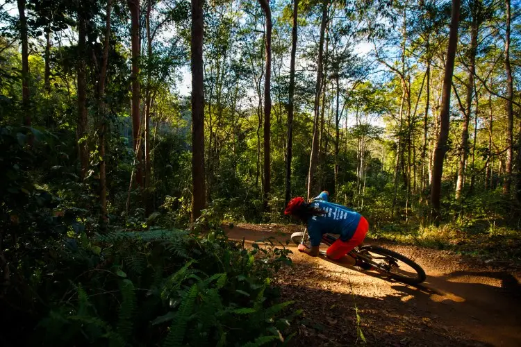 Forbes MTB - Brisbane MTB Coaching, Hire and Tours