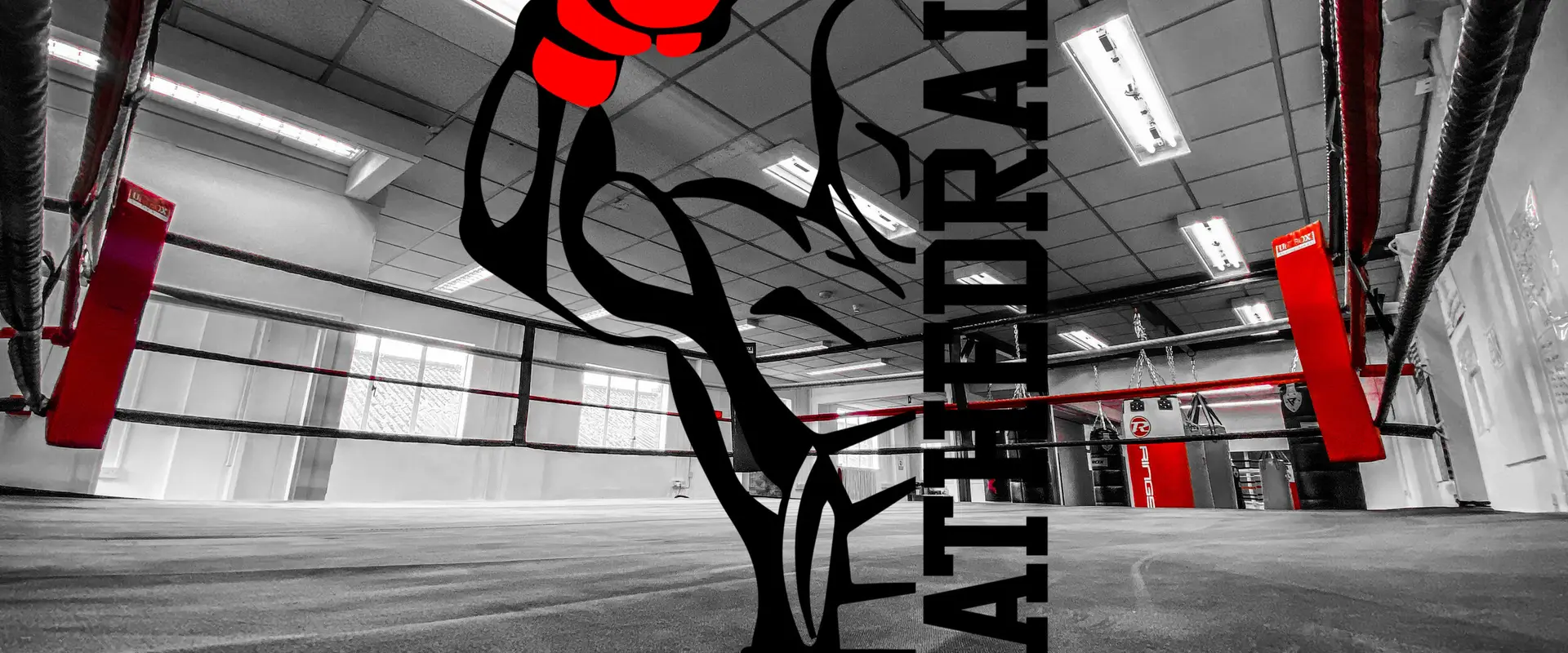 Cathedral Boxing Club