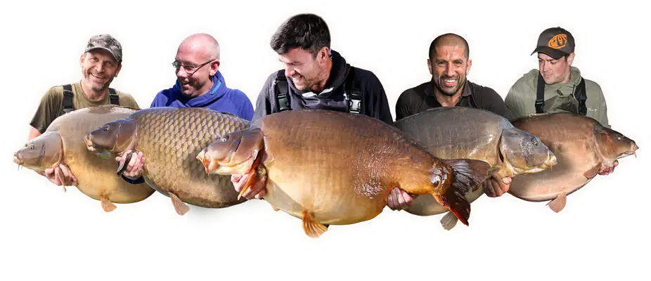 Gigantica