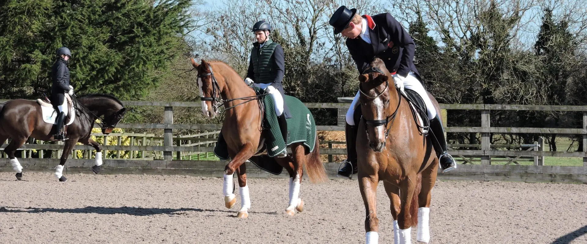 Hunters Equestrian