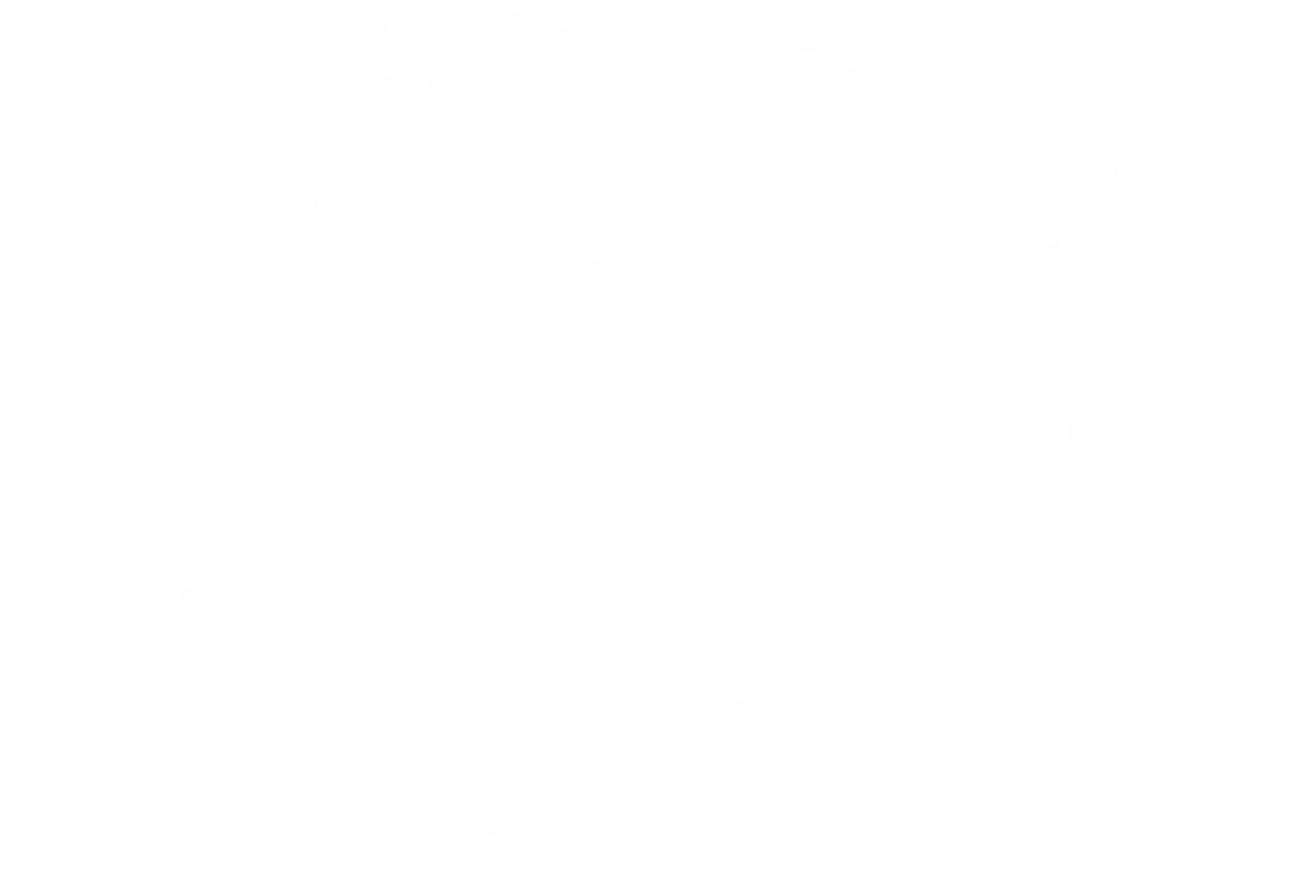 Futbalová škola Juventus