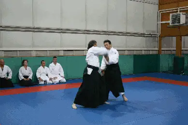 Aikido Angouleme