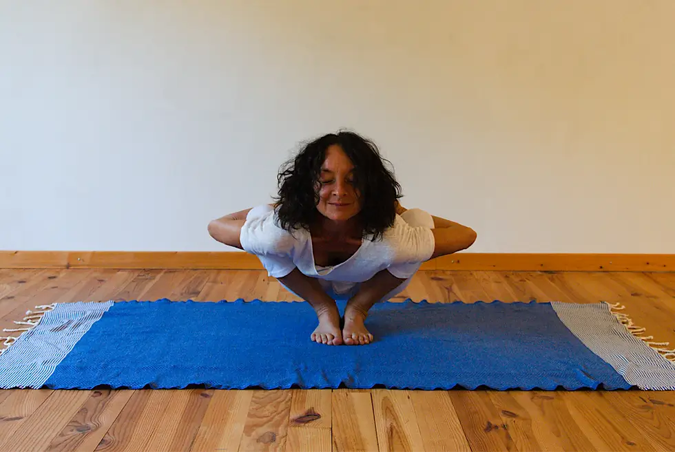 Centre Plénitude Yoga. Hatha Ashtanga . Yogas Pré / Postnataux. Méditation.