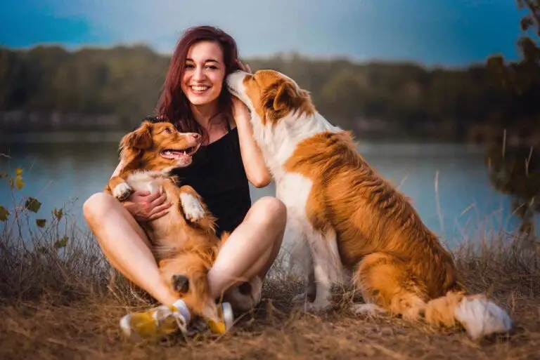 Canis & Joy