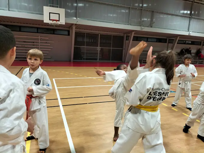 Saint Michel Karate And Systema