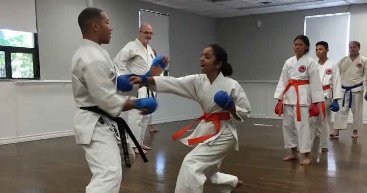 Shikomu Karate Club