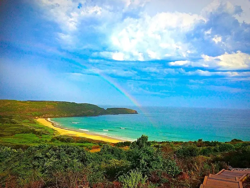 Pines Surfing Academy - The Farm (Killalea State Park)
