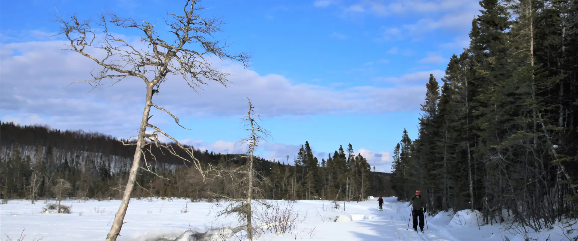 Whaleback Nordic Ski Club
