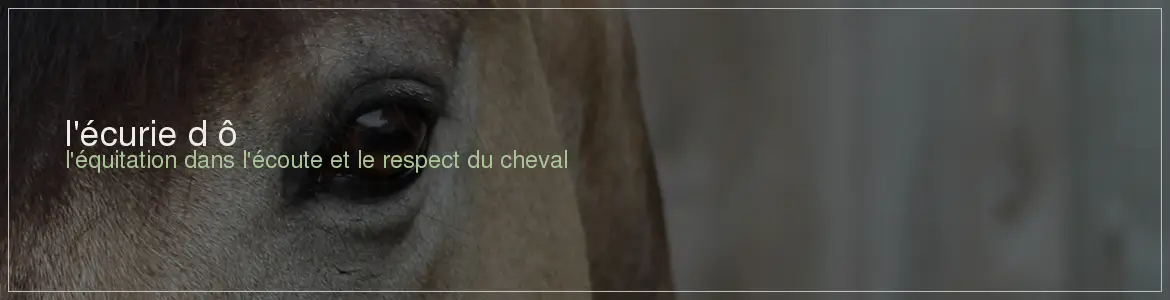l'écurie d'ô