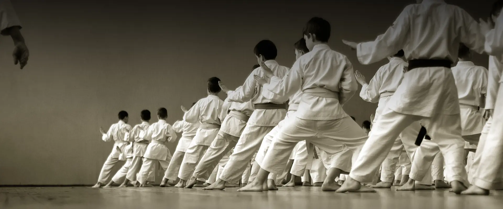 Sydney Karate Club