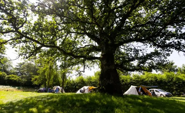 Camping La Fougeraie