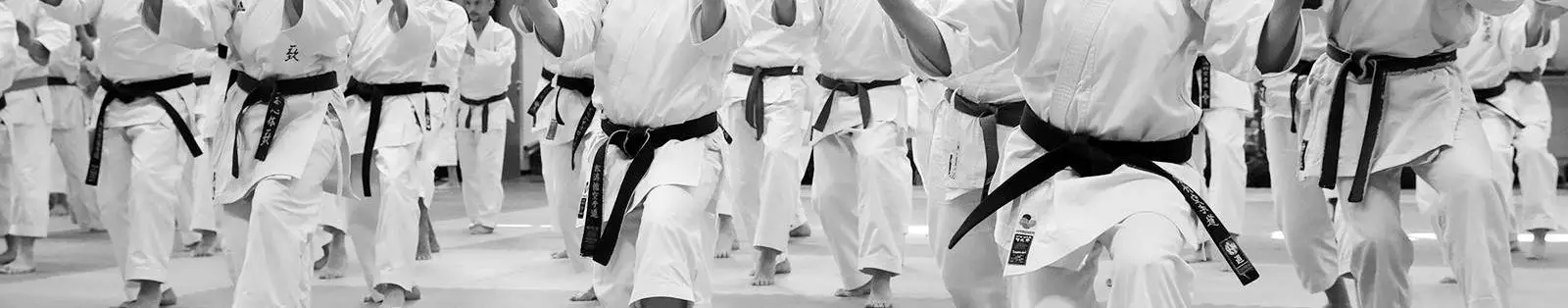 Karate Club D'herblay