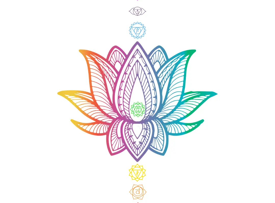 Mind & Body Wellbeing Ltd