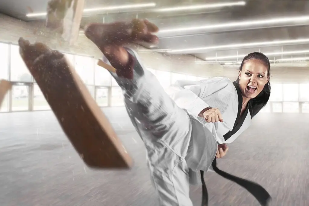 Bse 31 School Of Martial Arts Toulouse Metropole