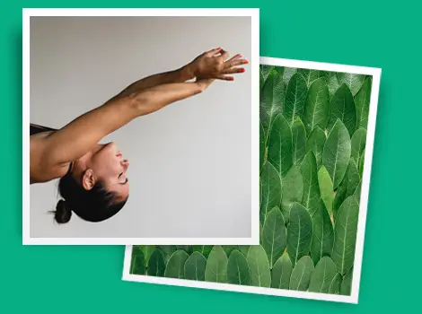 Zenbabes Baby Massage & Yoga Classes