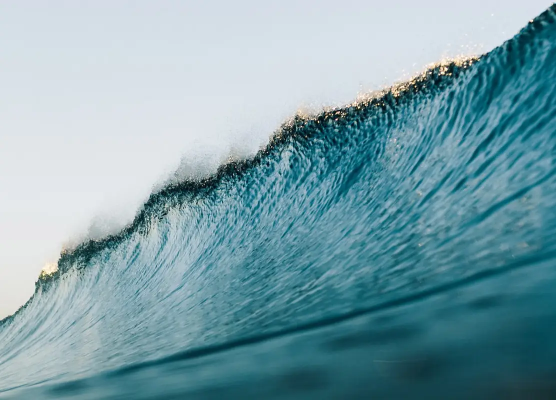 Sg Surf