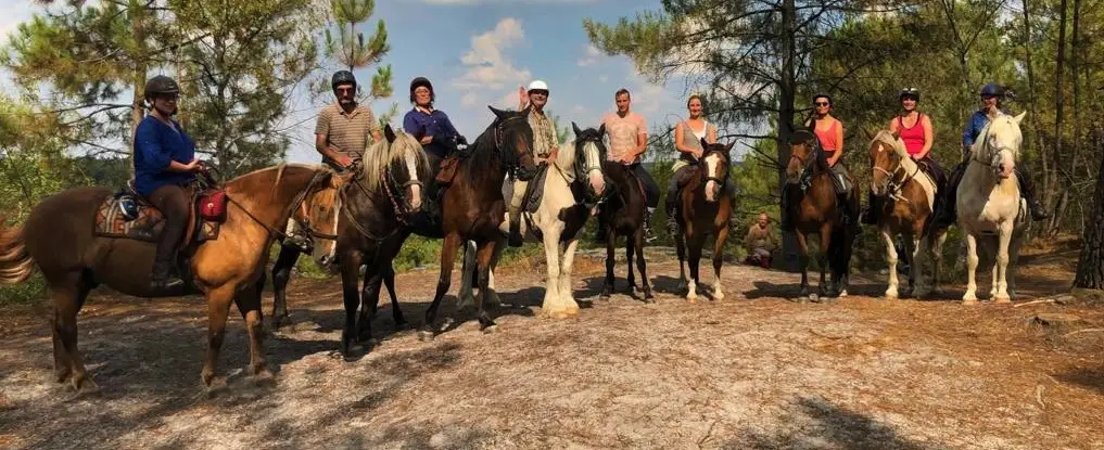 Des sabots dans la forêt - Balades à cheval à Fontainebleau