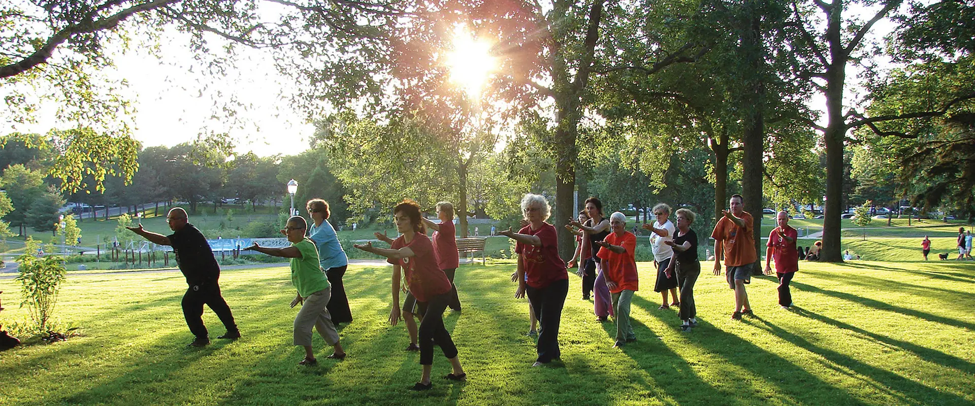 Institut de taosme Fung Loy Kok - Tai Chi Taoste - Blainville
