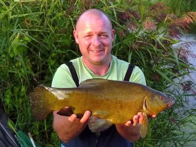 Cygnet Pond HDAA