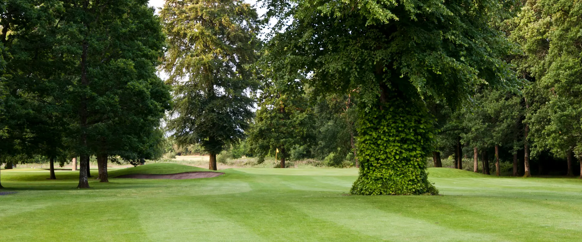 Portarlington Golf Club