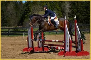 Longmead Riding Centre