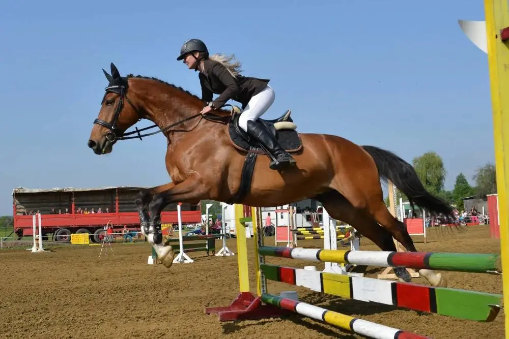 Equestrian Club
