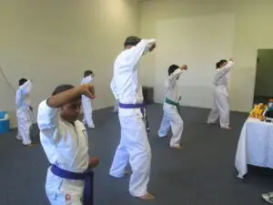 Sanchin Freestyle Karate
